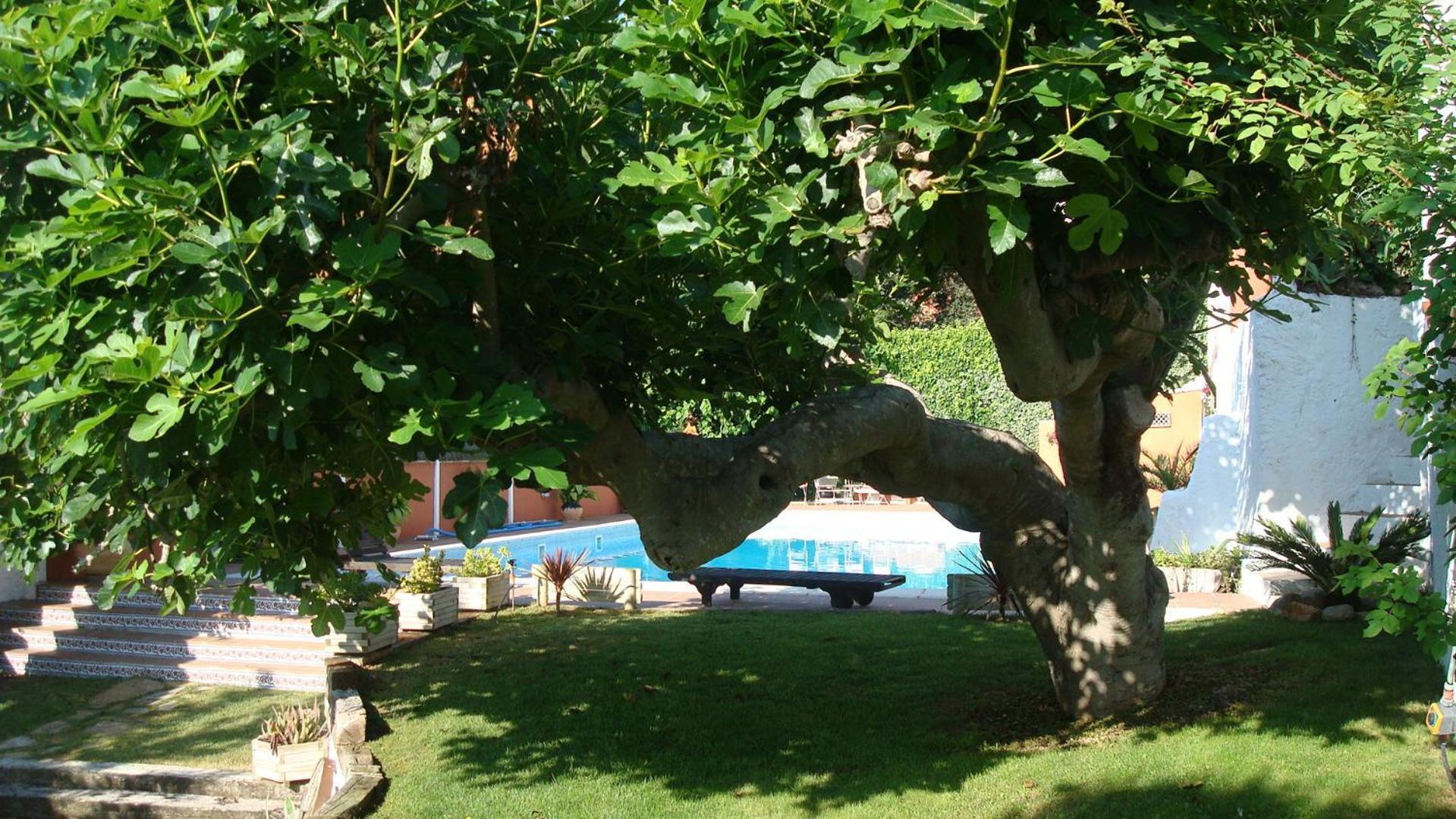 Comarquinal Bioresort Penedes San Quintín de Mediona Extérieur photo