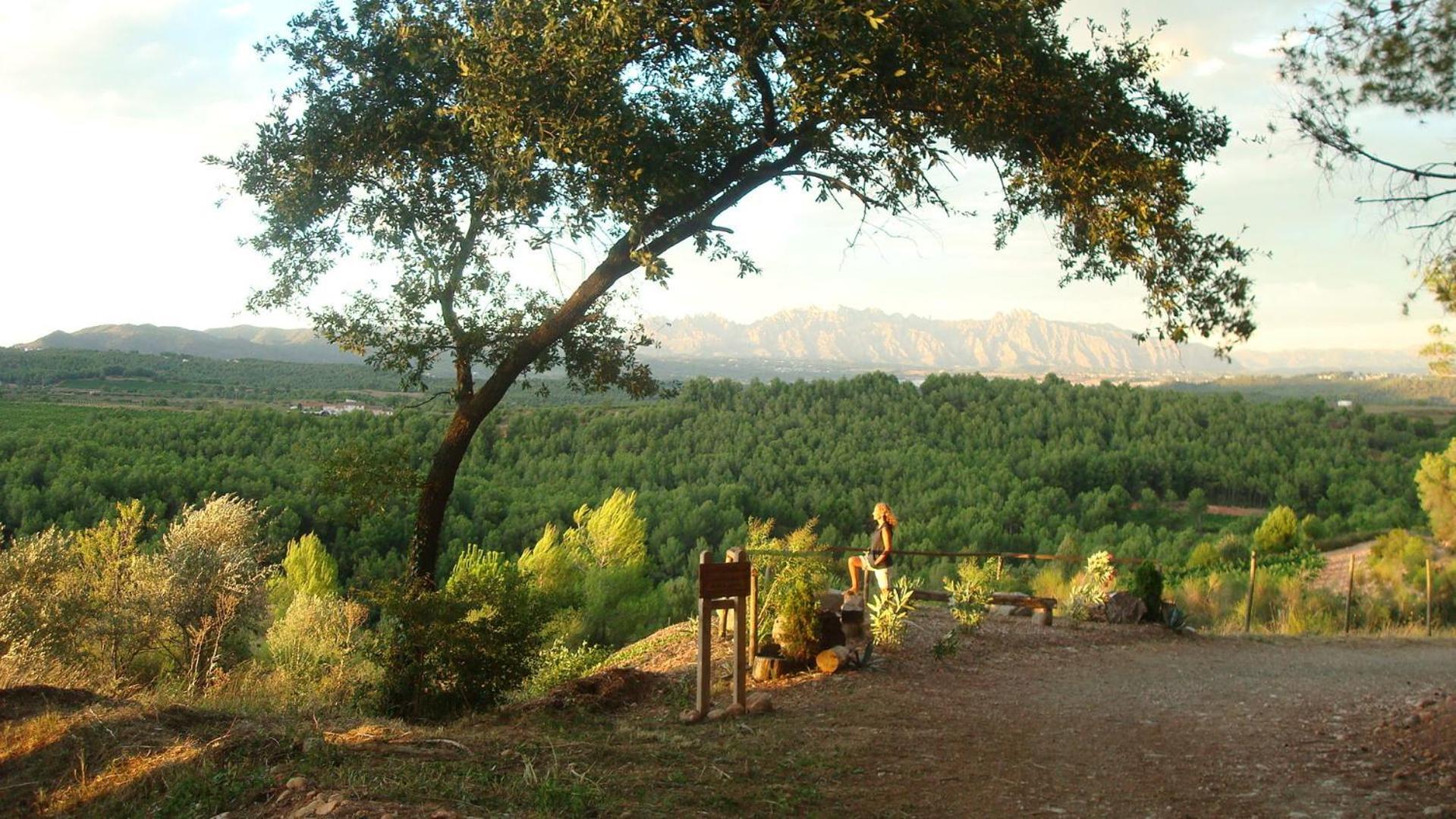Comarquinal Bioresort Penedes San Quintín de Mediona Extérieur photo